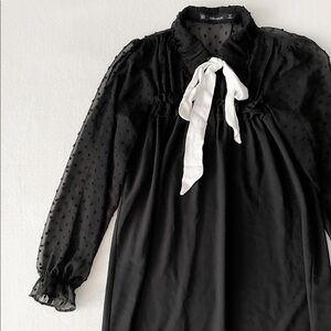 ZARA Swiss Dot Contrast Dress